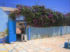 VOYAGE a ORAN du 30-06 au 6-06 2008 (333)